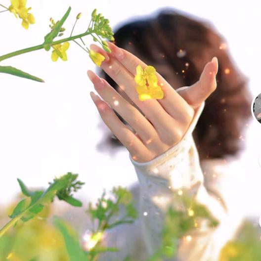 ღᩚ᭄半颗星辰ᨶ႒ ᭄