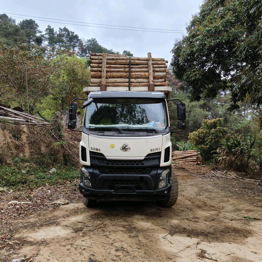 桂A    村里重点贫困户老黄