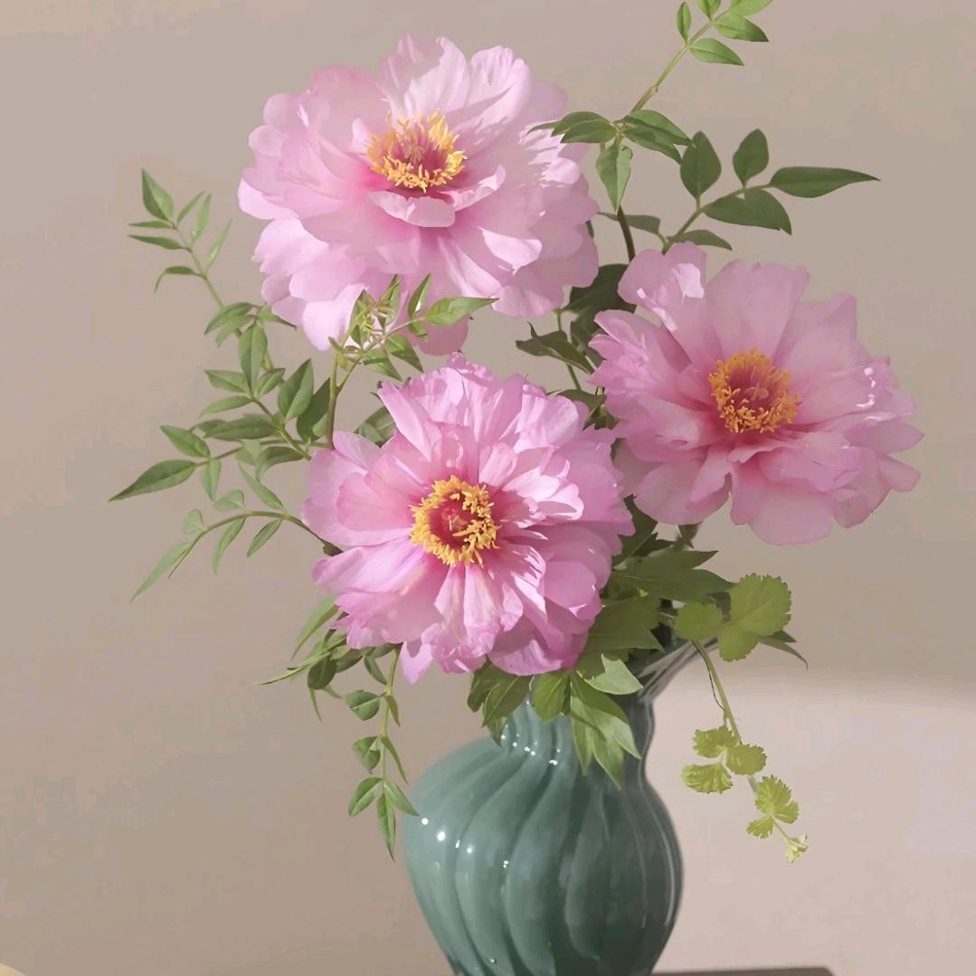 🌸开心快乐🌸
