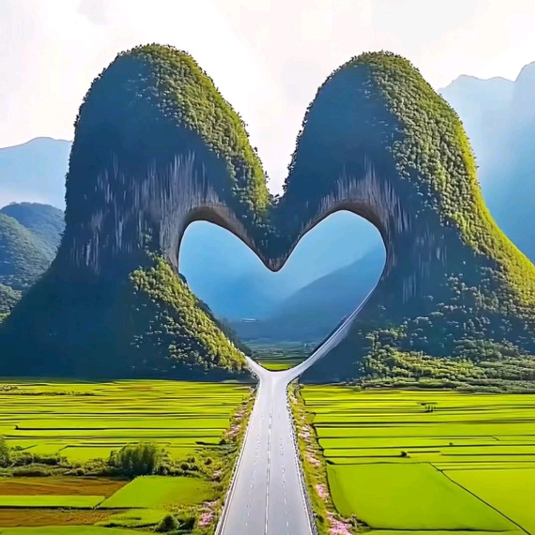 龙玩天下