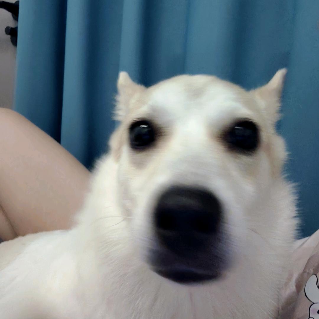 秋