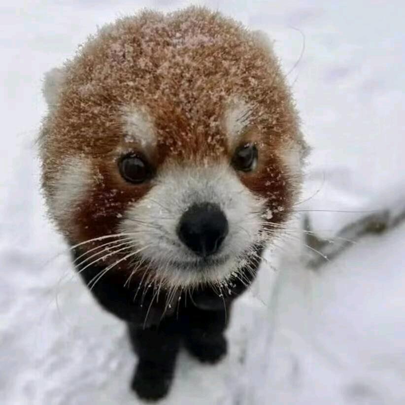 锡烨