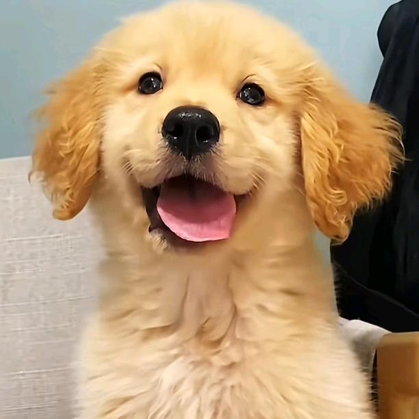 小新没蜡笔～