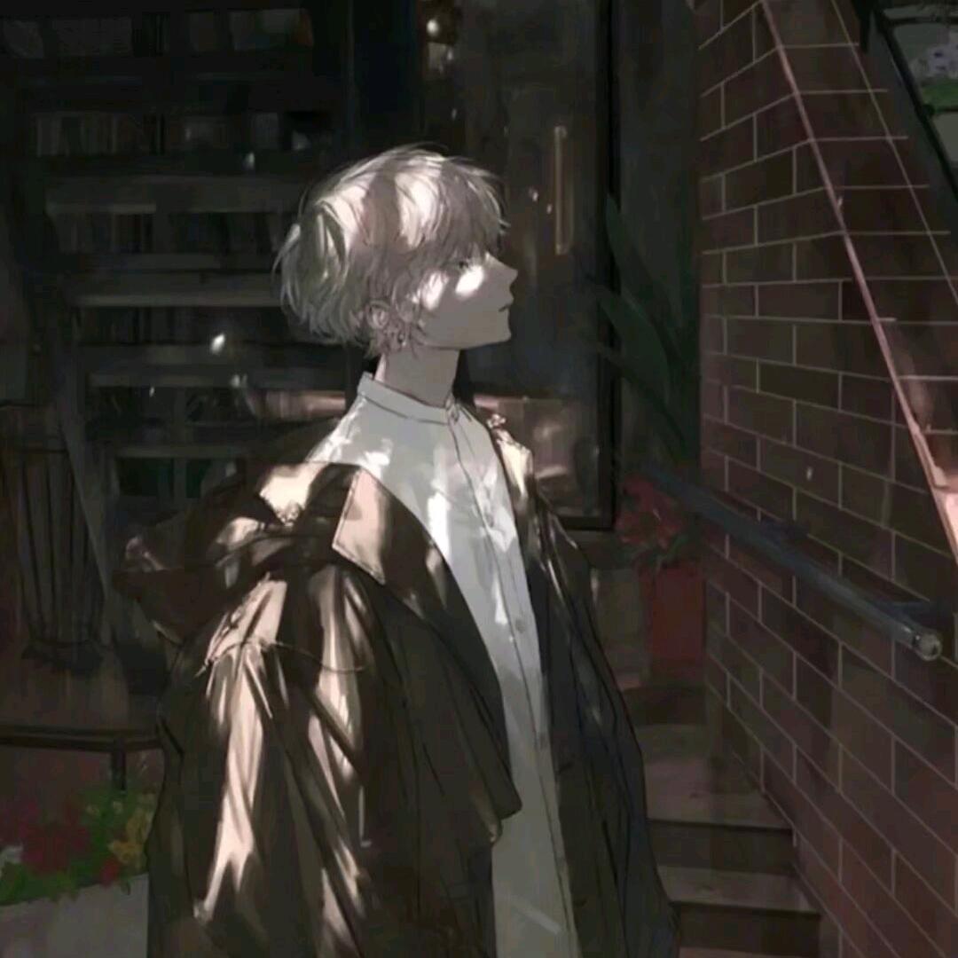 星情✨