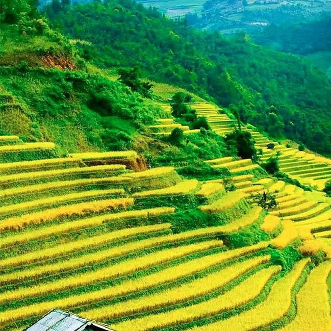 易县房产&推荐官