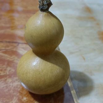 胜媛晴轩记录卡车生活