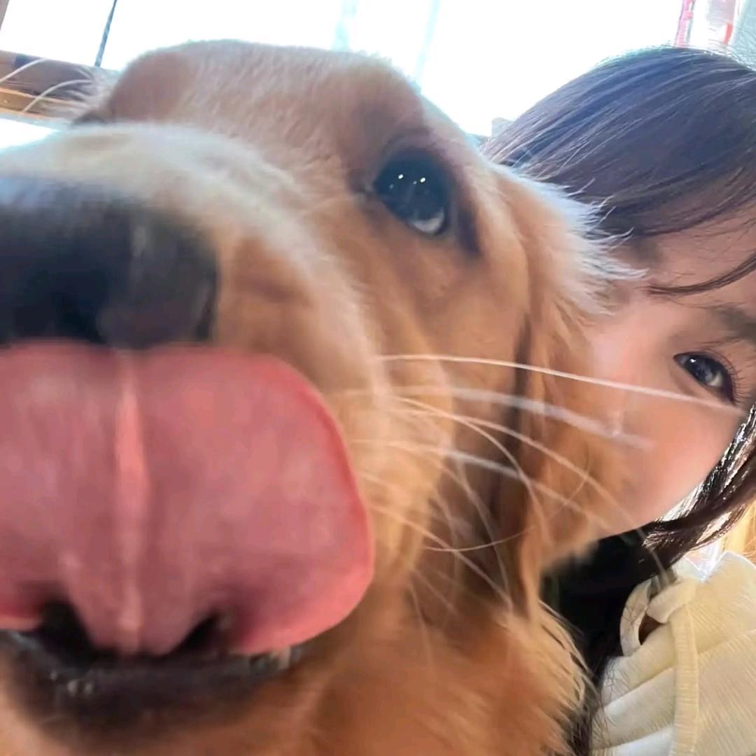 瞌睡虫_