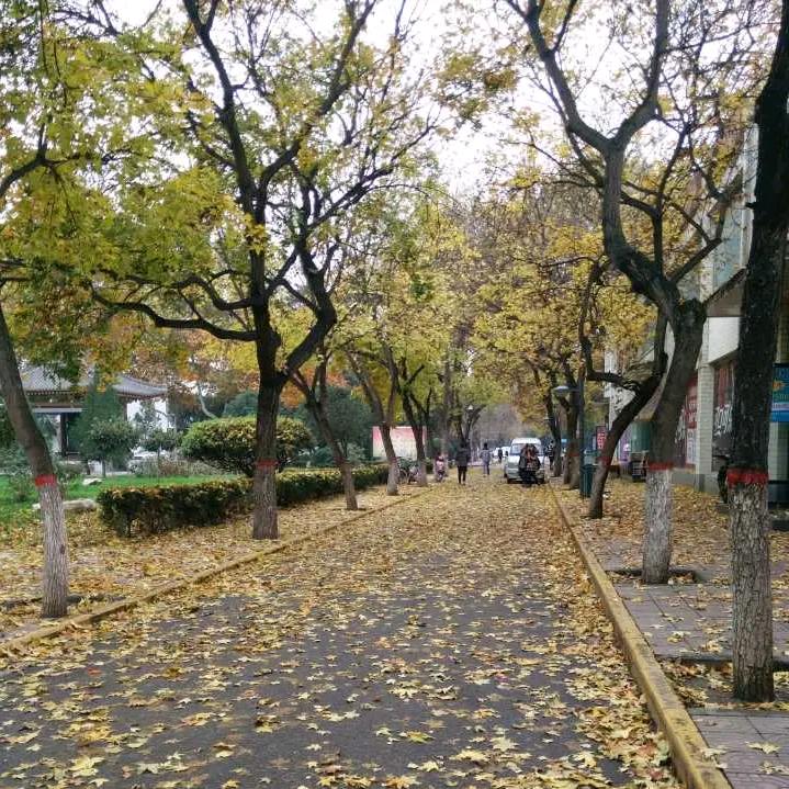 一个人在苏州