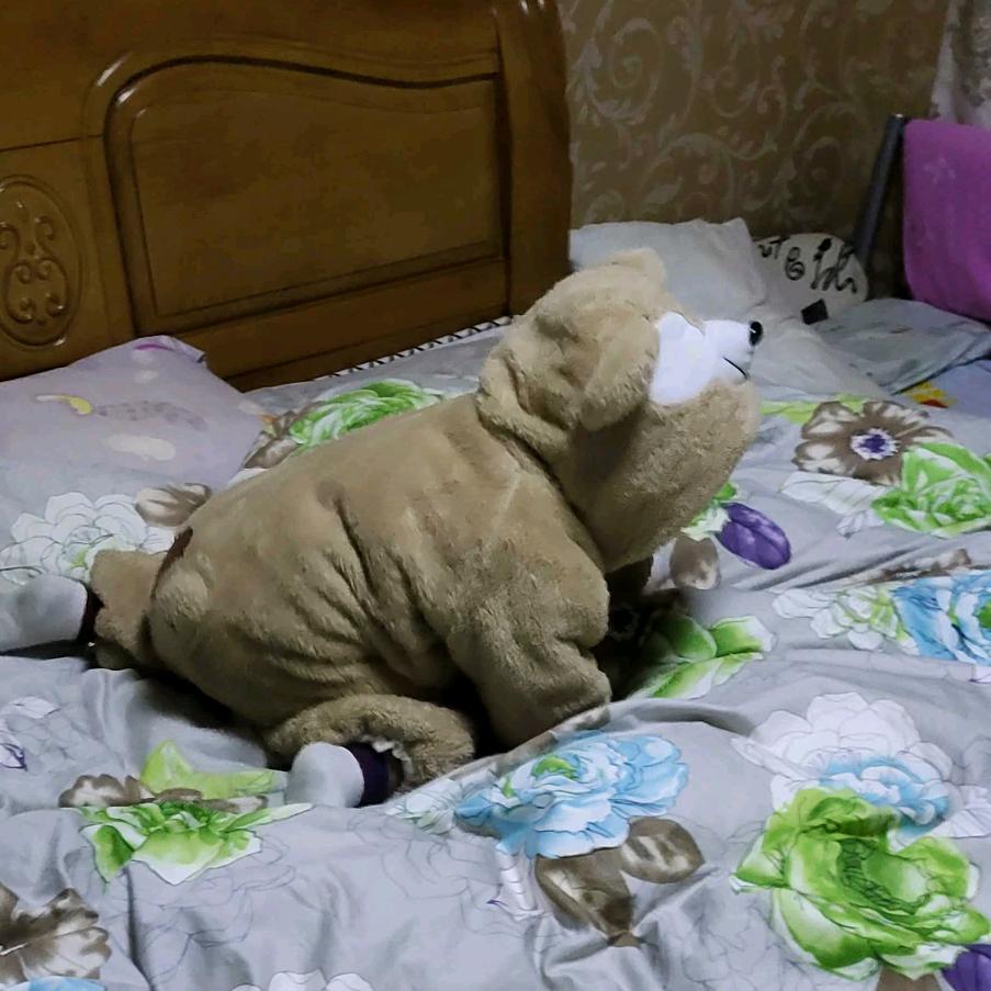 游乐城的志毅头像