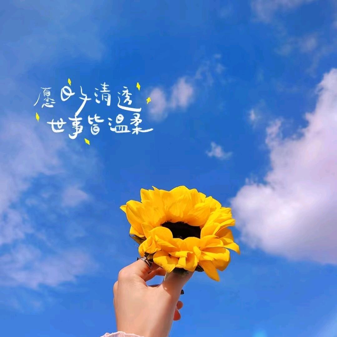 向阳而生
