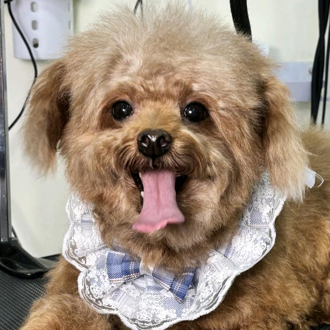 爱唱歌🎤🉑❤️