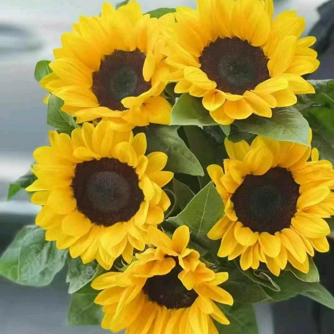 金辰公馆美园生鲜超市