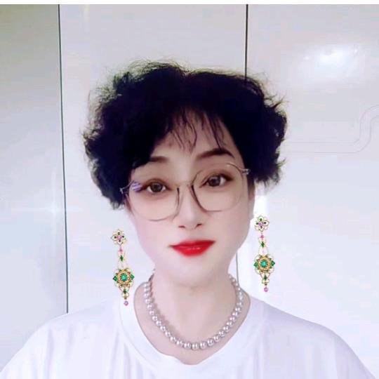 河南静文