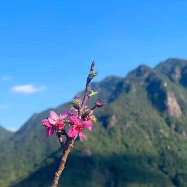 /@≈开心每一天