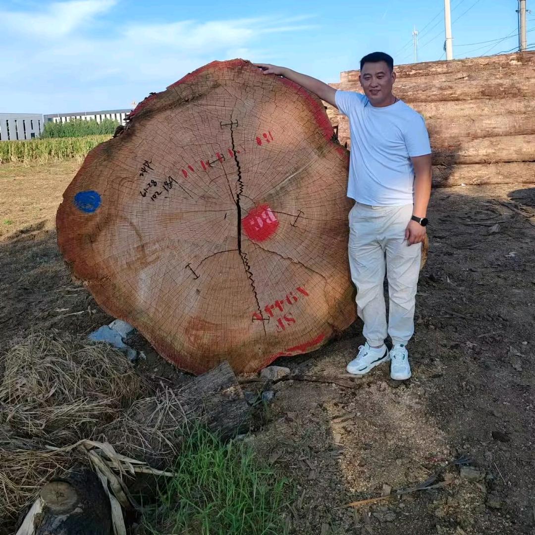 源铭松木面皮48尺生产厂家