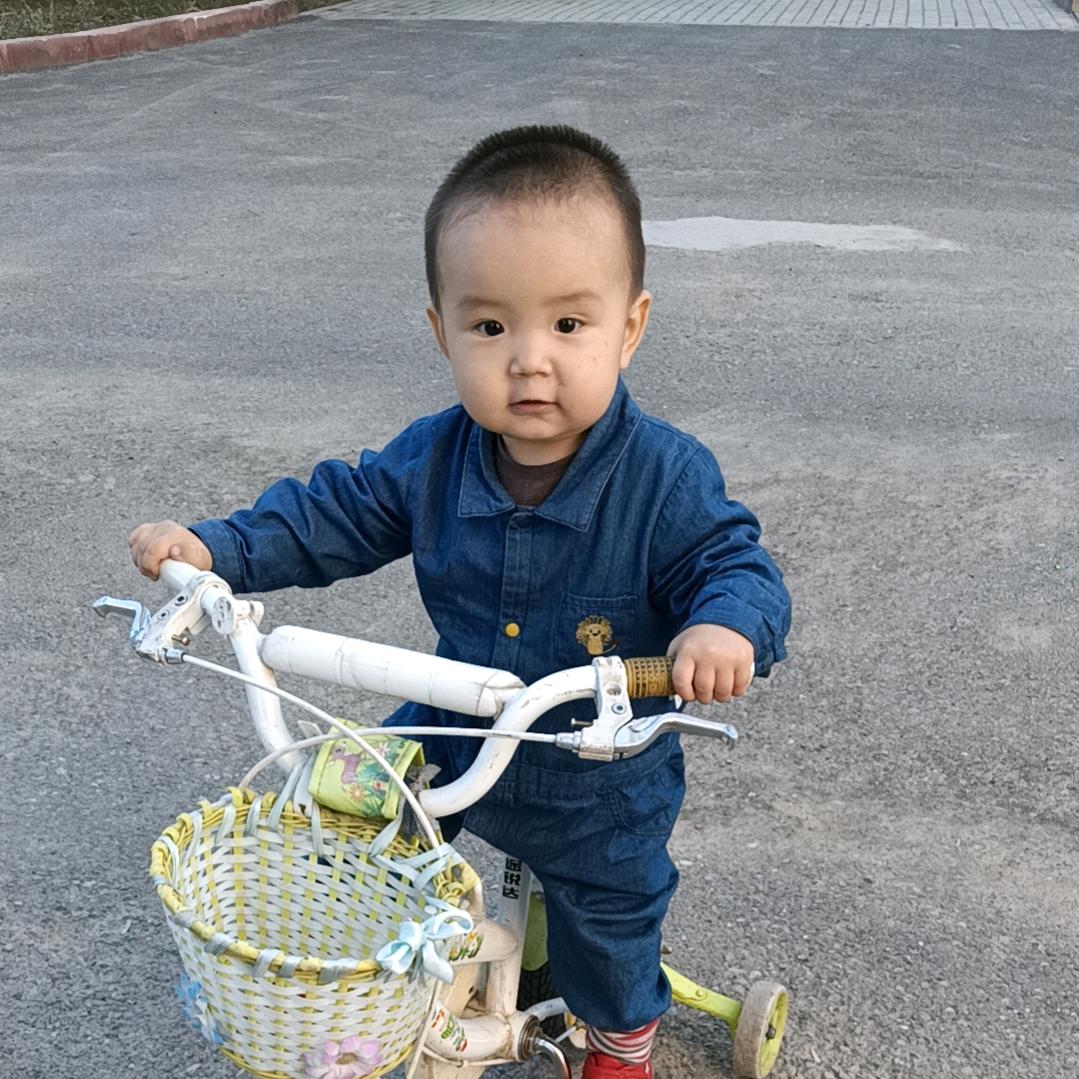 赛力克波力