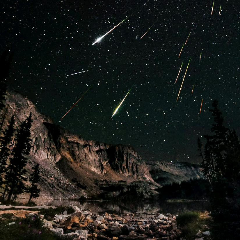 川家的繁星ᶜ