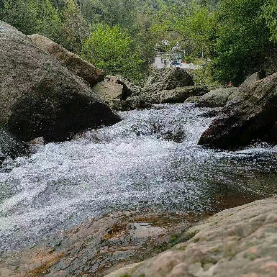 大内密探♡小武