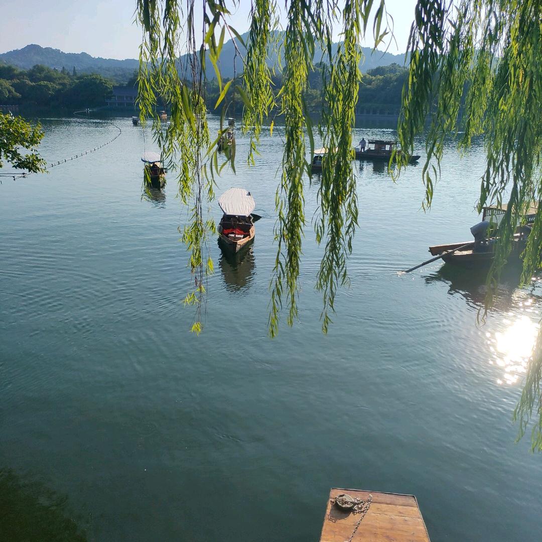 雨中  漫步