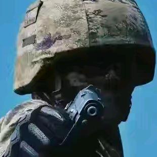 🦂若有战召必回