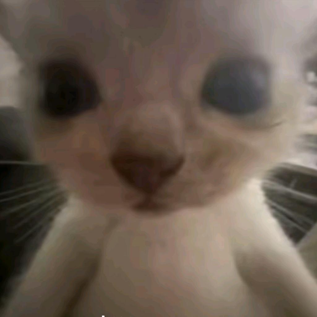 AAA麻辣浪主理人