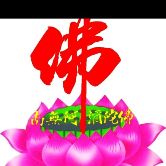 来直播间里睡大觉