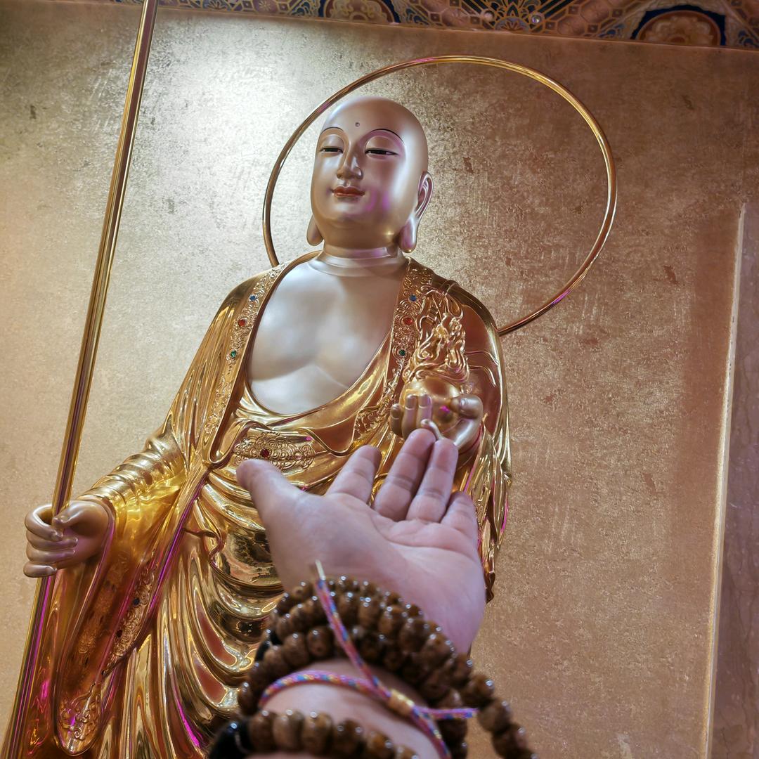 李佳（长春慈宝圆）地藏家的小跟班🐉