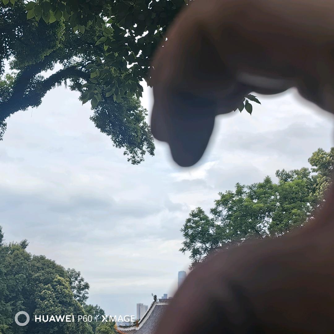 货在车上我在路上