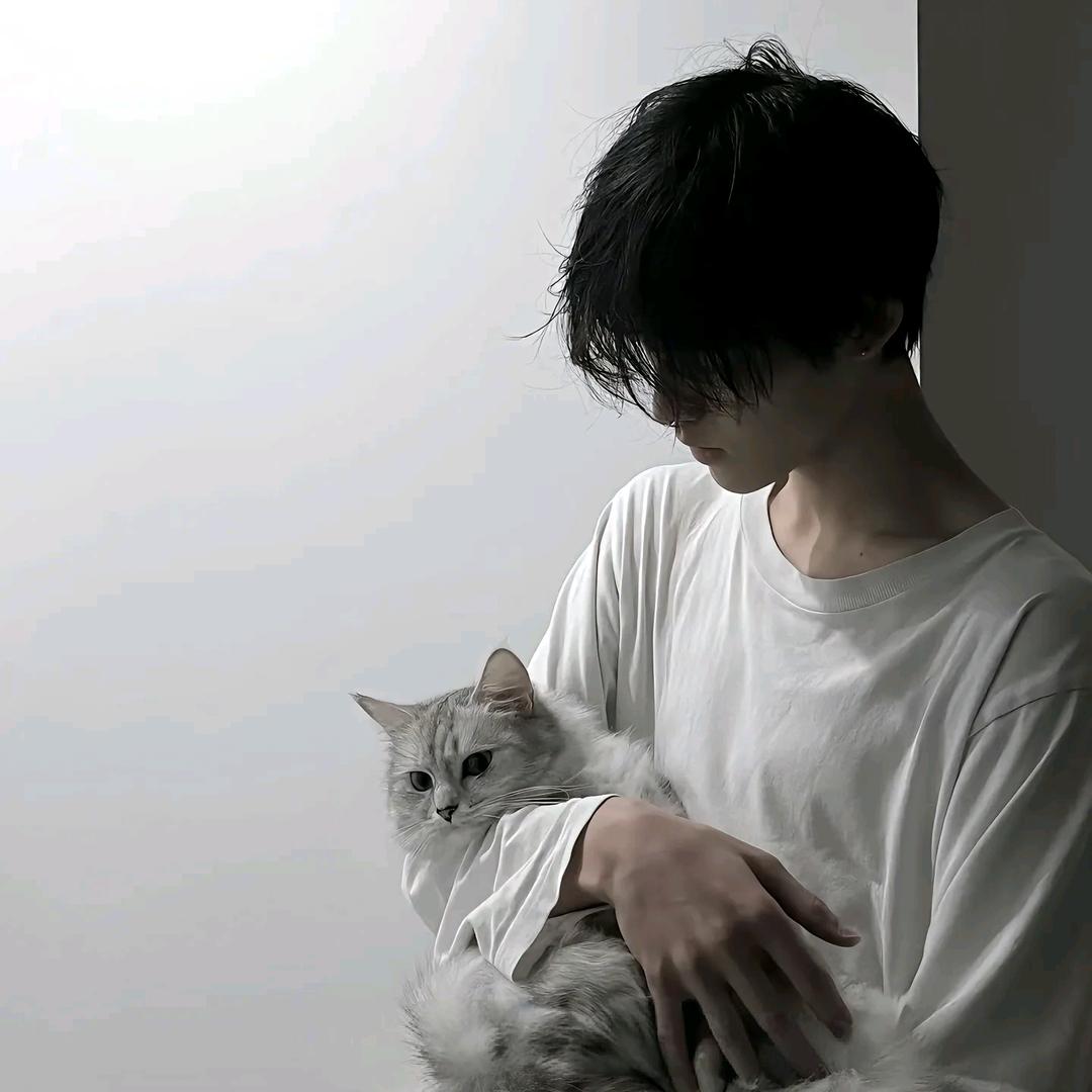 曦