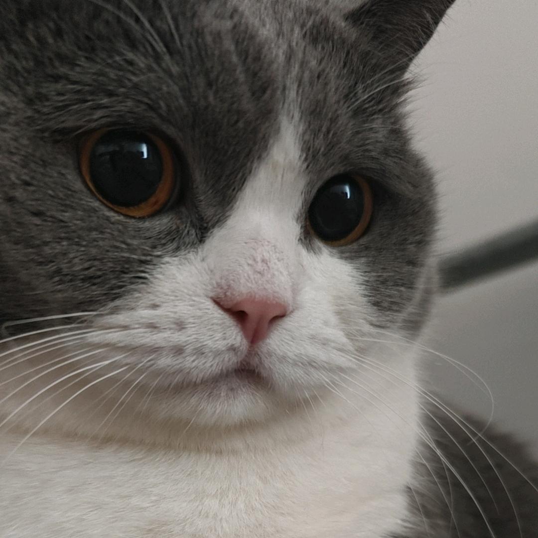 旺旺仙贝