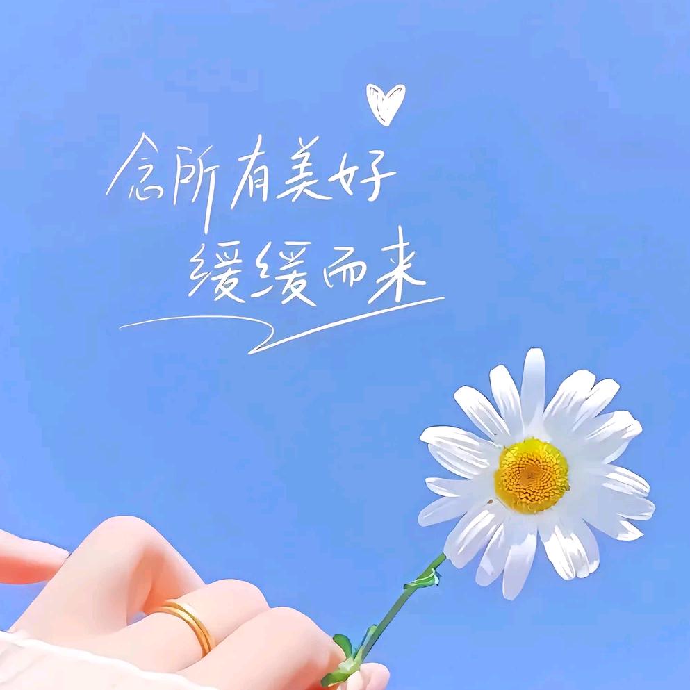 @᭄ℳ๓ 一介俗人°ꦿ⁵: 🚬༼ཽ༉ꫛ
