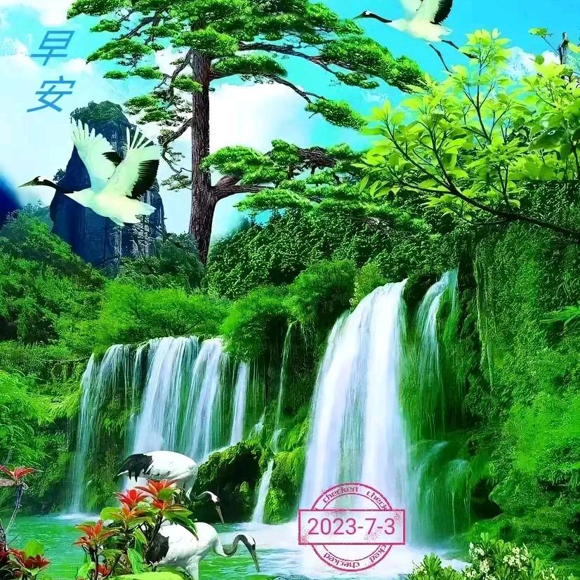 大海蛟龙