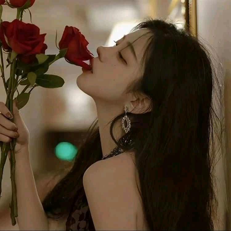 梅花♣️路过