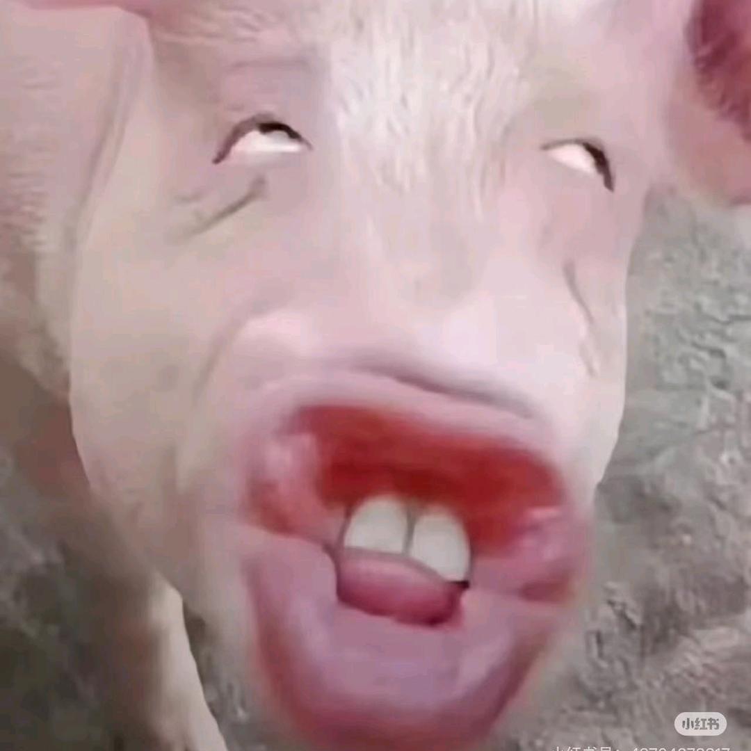 洛思