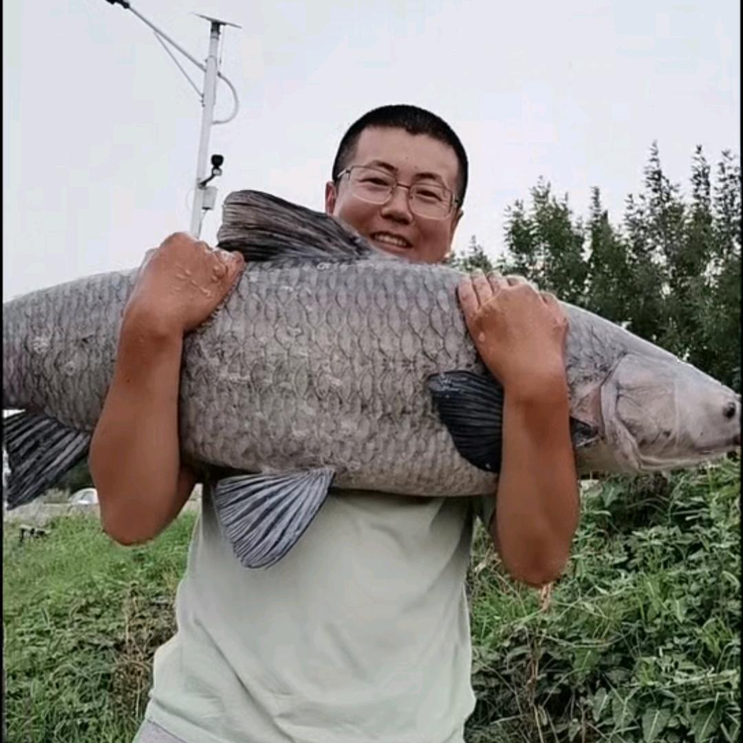 🌈百乐