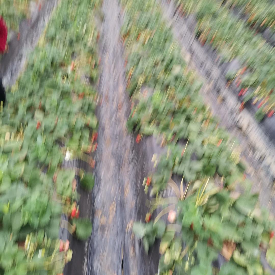 兄弟加油！