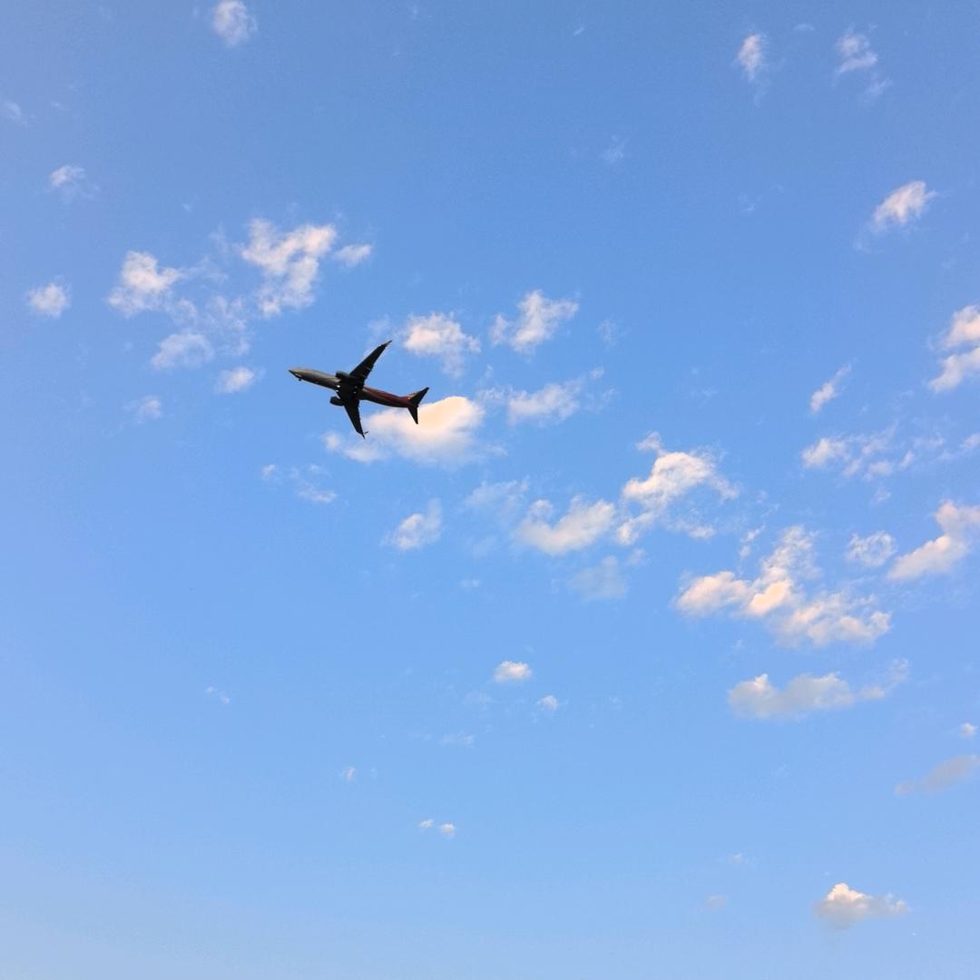 村官