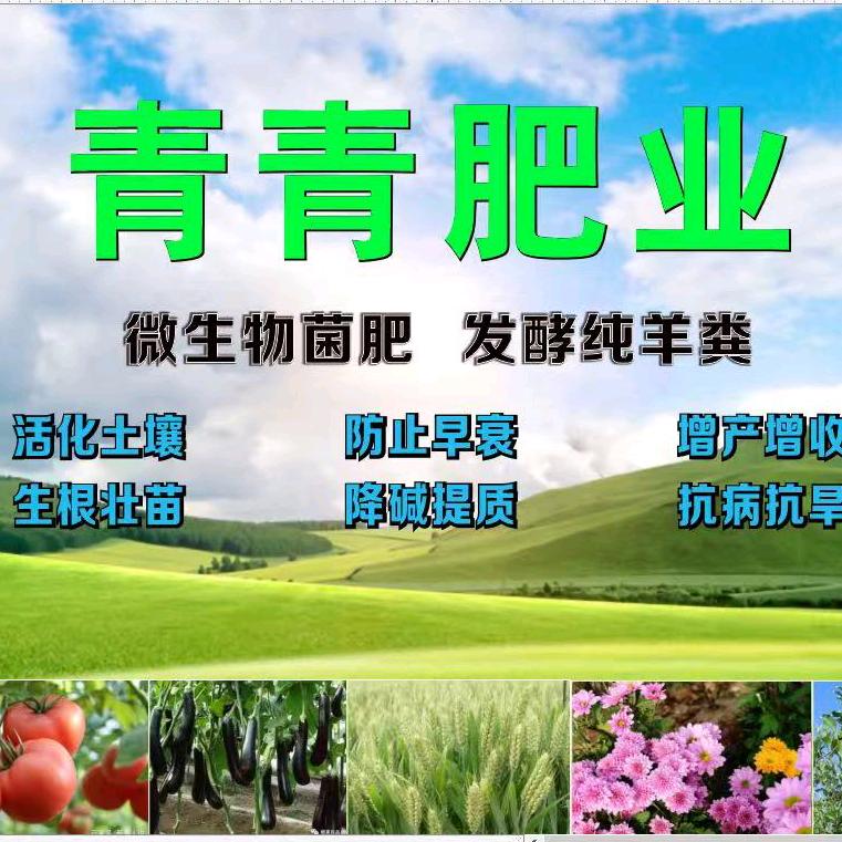 宁夏青青肥业