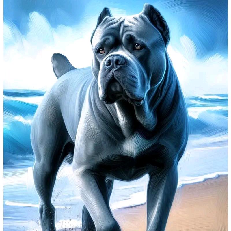 宁陵县伟达宠物店（个体工商户）