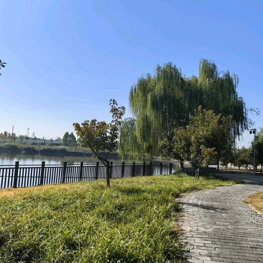 人生如逆旅，我亦是行人