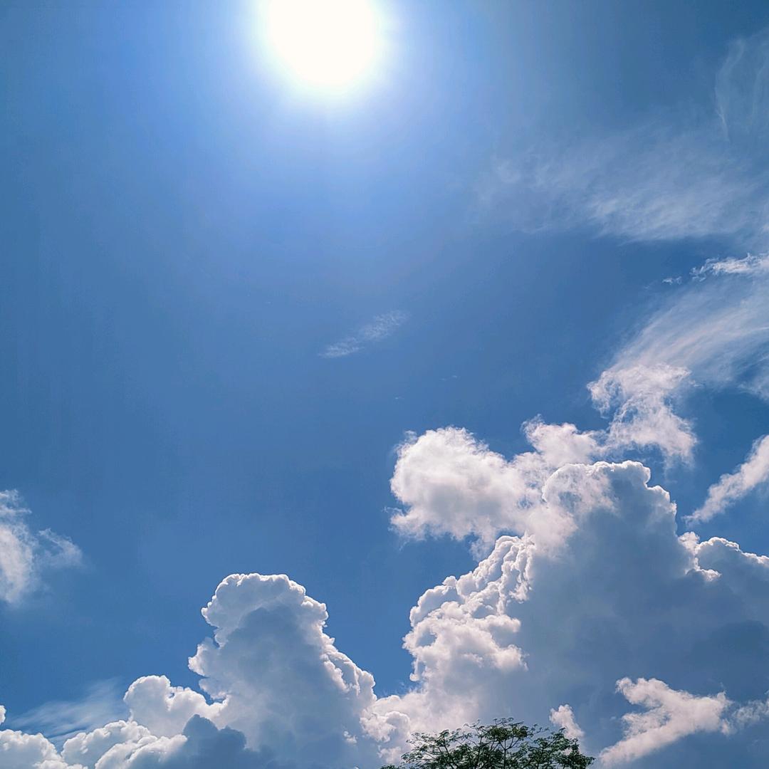 🐲🐉🐬🌈火🍀影🌈🐬🐉🐲