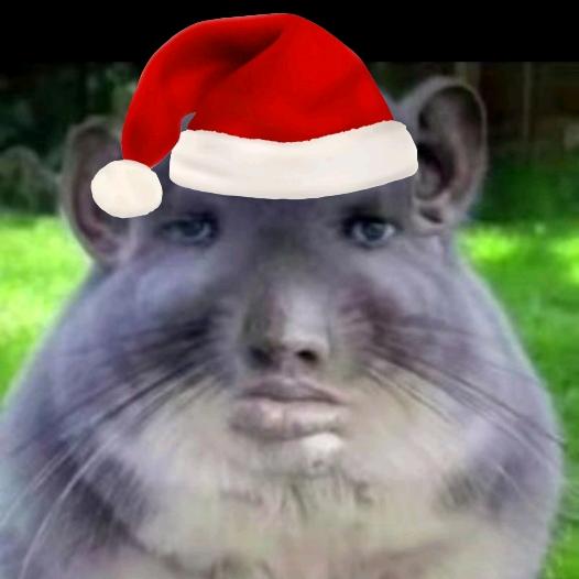 一只老鼠🐀🐁🐀🐁