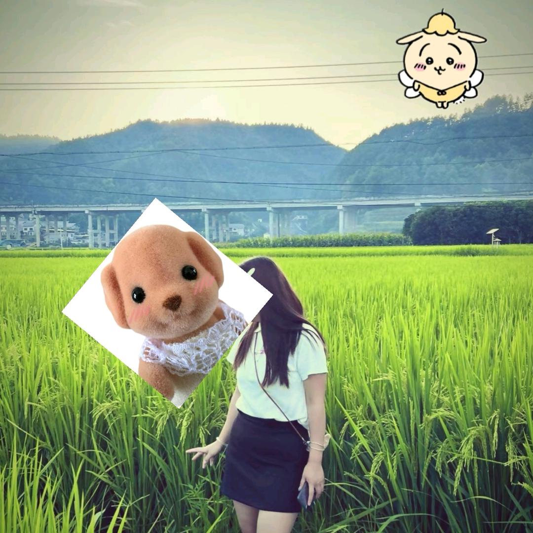 享悦野汽修前台接待，静静🌸