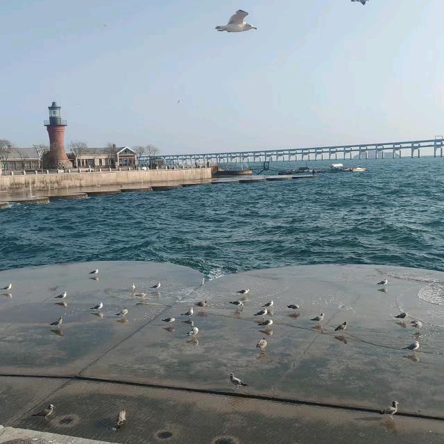 大海