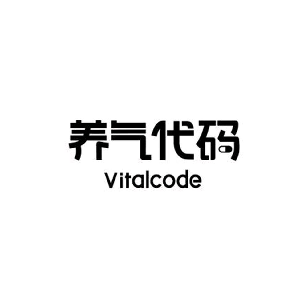 养气代码