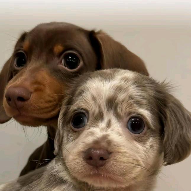 好名字可以让我的朋友更容易记住我