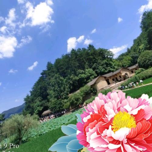 《感谢🎈感谢》