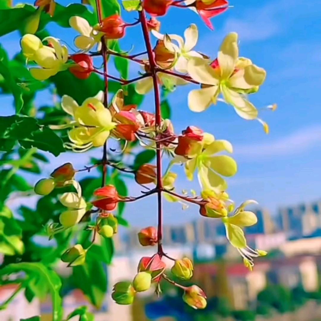 (இдஇ; )越来越好！