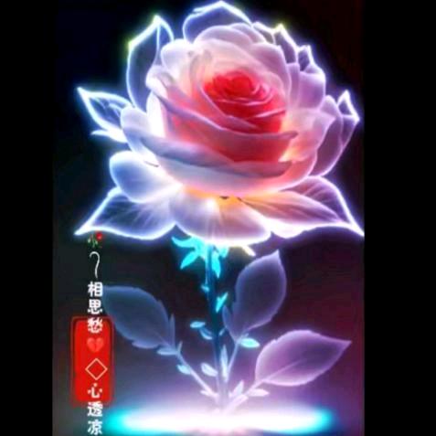 @马达 1