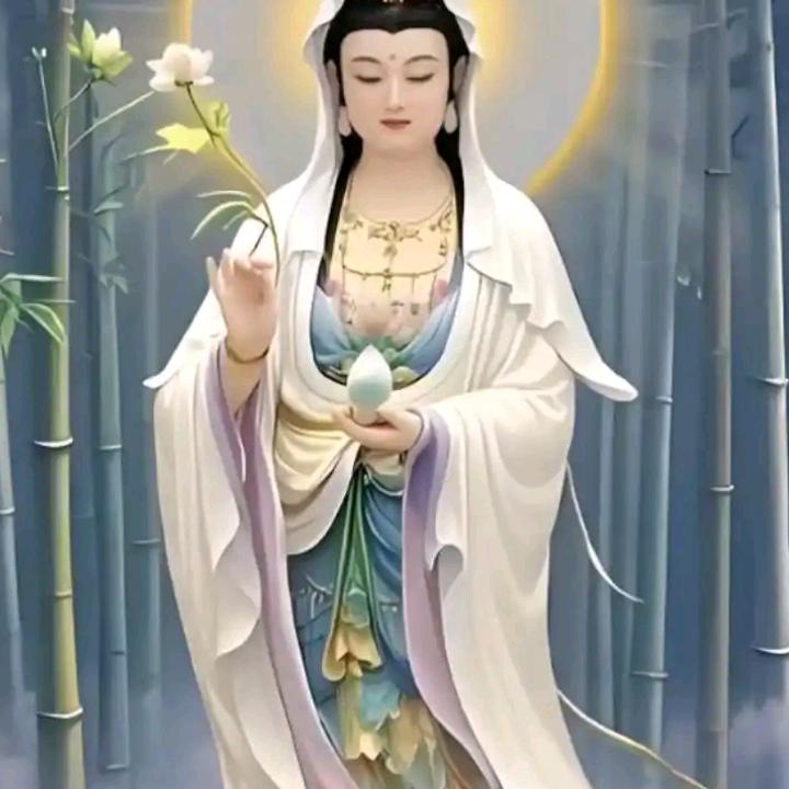 佛生锦鲤